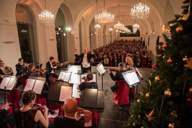 Schönbrunn: visita al palacio fuera de horario, mercado navideño y concierto