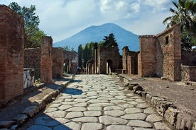 Pompeii og Vesuvius Cellars Tour í litlum hópum frá Salerno