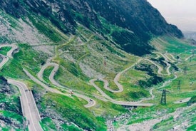 Tour privato a Transfagarasan Road e agli orsi bruni selvaggi