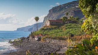 Ribeira Brava - city in Portugal