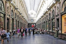 Recorrido a pie privado: centro histórico de Bruselas medio día