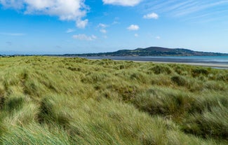 Bull Island