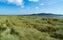 photo of North Bull Island Nature Reserve , Dublin Ireland .