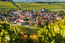 Best road trips in Champagne