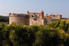 Salses Fortress Entrance Ticket