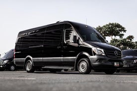 บริการรับส่งส่วนตัว-พื้นที่รถไฟใต้ดินซานฮวน รถตู้ Mercedes Benz Sprinter 16 คน