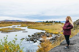 Reykjavík: Gullni hringurinn, Kerið og Friðheimar í lítilli rútu