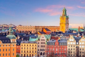 Historic Stockholm: Exclusive Private Tour with a Local Expert