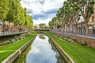 Photo of the Canal and Castle of Perpignan in springtime, Pyrenees-Orientales, France.