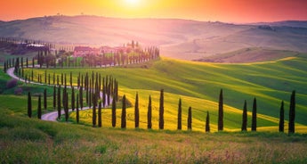 Treasures of Tuscany - 2024