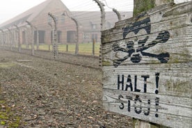 Frá Wrocław: Leiðsögð Heimsókn í Auschwitz-Birkenau Allan Dag