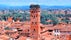 photo of Lucca, Italy - medieval town of Tuscany. Aerial view with Guinigi Tower.