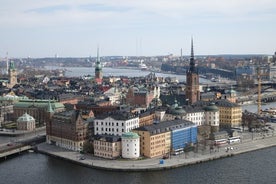  3-Hour Private Walking Tour in Stockholm