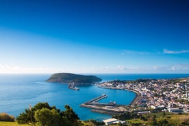 Excursão de meio dia na Ilha Faial saindo de Horta