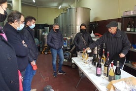 Tour di degustazione di vini Priorat da Salou