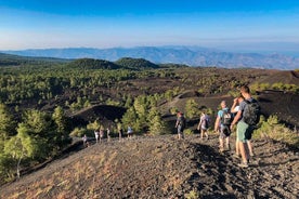 Visite privée et guidée sur l'Etna avec dégustation de vin incluse