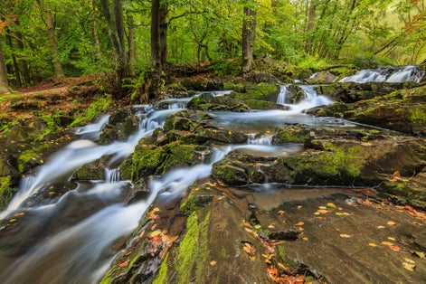 Selke waterfall near the town of Stolberg. River with moss-covered rocks and stones. Deciduous trees on the riverside. Yellow leaves on the water surface