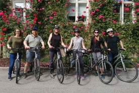 Oslo: 3-Hour Highlights Bike Tour