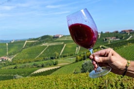 Piemonte Vineyards por ti mismo desde Turín en una furgoneta de lujo con chofer inglés