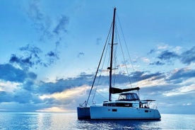 Halfday Semi Private Catamaran Cruise with Full Menu and Open Bar