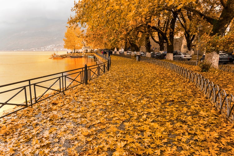 Photo of autumn colors in Ioannina city ,Epirus, Greece.