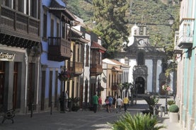 Tour di un giorno delle attrazioni della parte settentrionale di Gran Canaria da Las Palmas