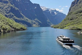 Privérondleiding - Premium Nærøyfjord-cruise en Flåm-spoorweg