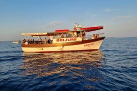 Fazana: Guided Dolphin Watching Sightseeing Cruise at Sunset