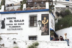 Tour a piedi di Granada