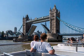 Hop-on hop-off cruise van Westminster tot de Tower of Londen