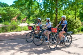 Guided Bike Tour - 2h Heading to Tête d'Or Park