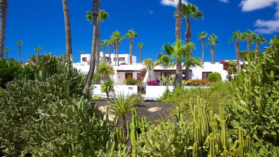 Playa Blanca featuring a house and a garden Papagayo Beach featuring rugged coastline and general coastal viewsPrevious image Next image Playa Blanca featuring a house and a garden