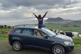 Tour privato di un'intera giornata a Terceira Island