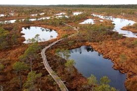 Kemeri National Park & Baltic Seaside Tour Bog Boardwalk