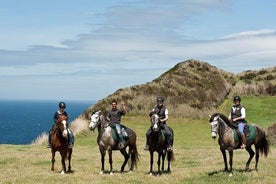 Lusitano Trail - Équitation pour débutants