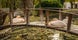 photo of view of Pink Pelican resting on a wooden bridge across the lake in the autumn city park Varna, Bulgaria. Soft warm colors of the setting sun,Varna Bulgaria.