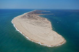 Ria Formosa：3 小时游览，在 Ilha da Culatra 和 Ilha da Armona 停留