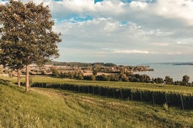 Utforsk Konstanz på 1 time med en lokal