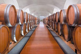 Tour in cantina ai Feudi di San Gregorio da Sorrento