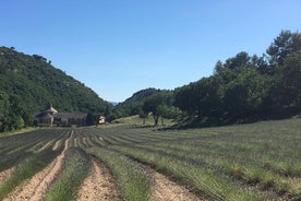 Tutustu Provenceen, mukaan lukien Avignonin ja Luberonin kylät Avignonista