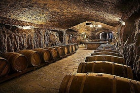 Visite des vins de la Rioja : cave, dégustation et déjeuner au départ de Saint-Sébastien