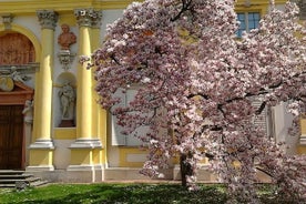 Excursão de áudio a pé pelos jardins do Palácio de Wilanów