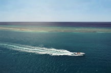 Jet boating tours