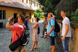 Tour giornaliero della città di Sibiu