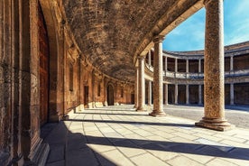 Tour privato di Fotografia nelle migliori posizioni di Granada con un locale