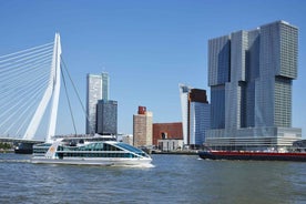 Rotterdam: Harbor Sightseeing Cruise