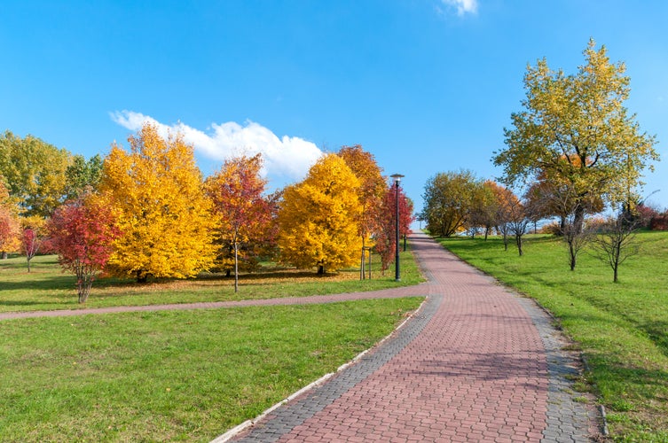 Cloudy autumn day in a park in Sosnowiec, Poland