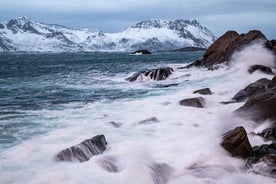 Svolvær: Lofoten Road Trip to Reine 7-Hour Guided Tour