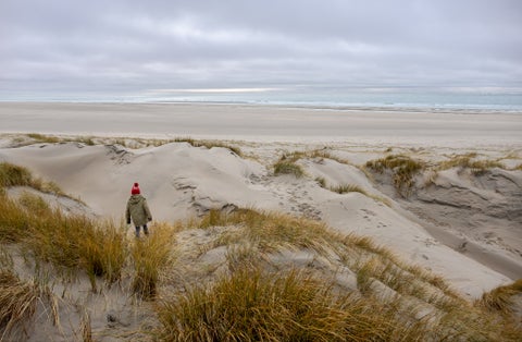 photo of a young boy walking in the beautiful dunes at Nationaal Park Duinen van Texel in Island Texel, the Netherlands.