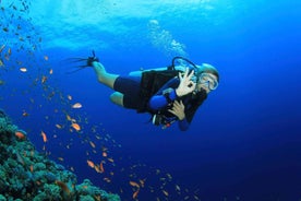 Antalya Scuba Diving Adventure with Expert Diver Option